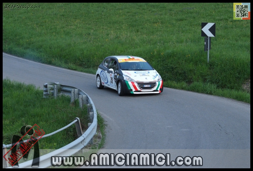 Rally_Taro_PS1_350 - Rally Val Taro 2013 - PS1 Bardi - 285 KB