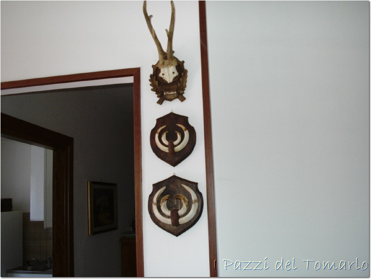 Salone della Moto 2006 23275,6 KB