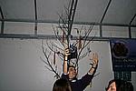 Foto Spring Party 2009 - Berceto/ Spring_Party_09_230
