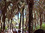 Foto Viaggio Spagna - Portogallo/ Spagna_Portogallo_059