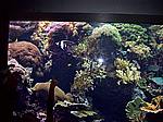 Foto Viaggio Spagna - Portogallo/ Spagna_Portogallo_069