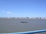 Foto Viaggio Spagna - Portogallo/ Spagna_Portogallo_093