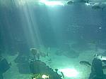 Foto Viaggio Spagna - Portogallo/ Spagna_Portogallo_186