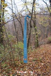 Foto Winter Trail Tarsogno 2025 Winter_Trail_Tarsogno_25_029
