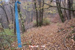 Foto Winter Trail Tarsogno 2025 Winter_Trail_Tarsogno_25_030