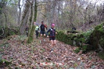 Foto Winter Trail Tarsogno 2025 Winter_Trail_Tarsogno_25_204