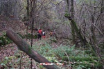 Foto Winter Trail Tarsogno 2025 Winter_Trail_Tarsogno_25_229