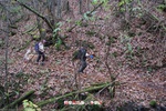 Foto Winter Trail Tarsogno 2025 Winter_Trail_Tarsogno_25_308
