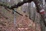 Foto Winter Trail Tarsogno 2025 Winter_Trail_Tarsogno_25_331