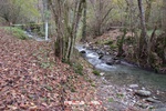 Foto Winter Trail Tarsogno 2025 Winter_Trail_Tarsogno_25_337