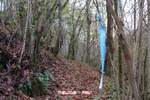 Foto Winter Trail Tarsogno 2025 Winter_Trail_Tarsogno_25_345