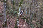 Foto Winter Trail Tarsogno 2025 Winter_Trail_Tarsogno_25_374