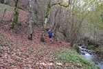 Foto Winter Trail Tarsogno 2025 Winter_Trail_Tarsogno_25_380