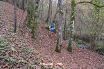 Foto Winter Trail Tarsogno 2025 Winter_Trail_Tarsogno_25_387
