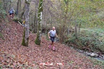 Foto Winter Trail Tarsogno 2025 Winter_Trail_Tarsogno_25_400