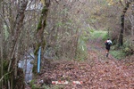 Foto Winter Trail Tarsogno 2025 Winter_Trail_Tarsogno_25_419