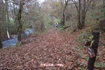 Foto Winter Trail Tarsogno 2025 Winter_Trail_Tarsogno_25_429