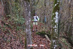 Foto Winter Trail Tarsogno 2025 Winter_Trail_Tarsogno_25_431