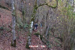 Foto Winter Trail Tarsogno 2025 Winter_Trail_Tarsogno_25_463