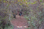 Foto Winter Trail Tarsogno 2025 Winter_Trail_Tarsogno_25_484