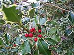 Autunno 2005 11