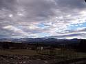 Bedonia 004