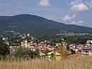 Bedonia vista