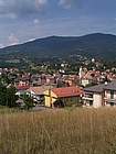 Bedonia