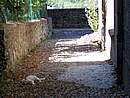 Godersi ombra