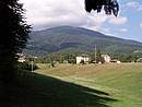 Pelpi