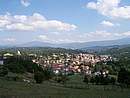 Vista Bedonia